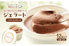 ジェラート チョコ 12個 アイス アイスクリーム スイーツ お菓子 菓子 おやつ 兵庫県 加西市 