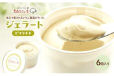 ジェラート ピスタチオ 6個 アイス アイスクリーム スイーツ お菓子 菓子 おやつ 兵庫県 加西市 