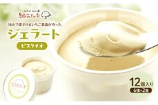ジェラート ピスタチオ 12個 アイス アイスクリーム スイーツ お菓子 菓子 おやつ 兵庫県 加西市 
