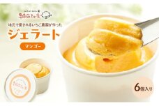 ジェラート マンゴー 6個 アイス アイスクリーム スイーツ お菓子 菓子 おやつ 兵庫県 加西市 