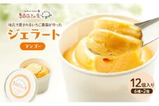ジェラート マンゴー 12個 アイス アイスクリーム スイーツ お菓子 菓子 おやつ 兵庫県 加西市 
