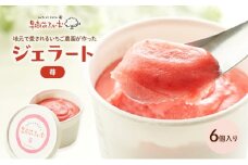 ジェラート いちご 6個 アイス アイスクリーム スイーツ お菓子 菓子 おやつ ストロベリー イチゴ  苺 兵庫県 加西市 