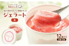 ジェラート いちご 12個 アイス アイスクリーム スイーツ お菓子 菓子 おやつ ストロベリー イチゴ 苺 兵庫県 加西市 