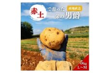 じゃがいも 男爵 5kg 産地直送 野菜 ジャガイモ 芋 赤土 加西市 栄町