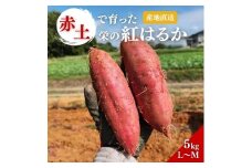 さつまいも 紅はるか 5kg 産地直送 野菜 サツマイモ 芋 焼き芋 赤土 加西市 栄町