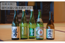 兵庫五国！個性派揃い純米酒セット お酒 日本酒