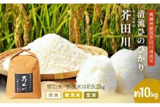 白米 【令和7年産】 ヒノヒカリ 10kg [ 白米 ] 精米 奥播州源流 芥田川産 芥田川 農家直送 10キロ 国産米 ひのひかり 贈り物 喜ばれる お米ギフト おいしいお米 お祝い 内祝い 贈答 美味しい おいしい