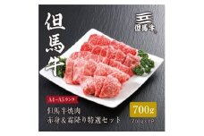 ★レビューキャンペーン実施中★＜但馬牛＞焼肉 赤身&霜降り 特選セット700g【1313170】