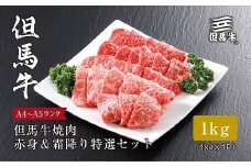 ＜但馬牛＞ 焼肉 赤身&霜降り 特選セット1kg【1313387】