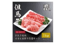 ★レビューキャンペーン実施中★＜但馬牛＞ 焼肉 赤身&霜降り 特選セット1kg【1313387】