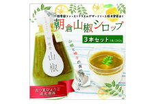 大人味のシロップ　朝倉山椒　3本セット【1337338】