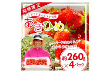 「内山いちごの国」のいちご4パック入り【1346272】