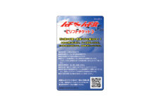ハチ高原スキー場リフト1日券(こども)1枚【1349535】