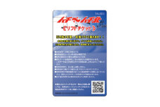 ハチ高原スキー場リフト1日券(大人)1枚+同伴者用割引券2枚【1349527】