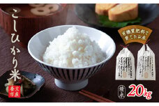 養父市産こしひかり米 20kg(精米)【1360661】
