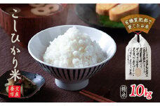 養父市産こしひかり米 10kg(精米)【1360658】