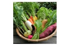 但馬の旬をお届け!採れたて野菜セット(7~8種類)【1366309】