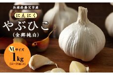 兵庫県養父市産　にんにく「やぶひこ(金郷純白)」　Mサイズ1kg【1091748】