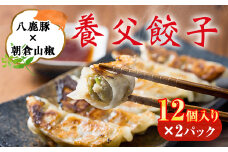 八鹿豚味わう養父餃子(要冷凍/12個入り)×2パック【1418071】