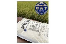 令和6年産養父市の希少米　蛇紋岩米(無洗米)5kg　五穀ブレンド米(蛇紋岩米使用)セット【1415362】