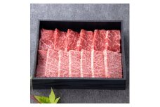 神戸牛　霜降赤身焼肉　250g＜化粧箱＞【1428068】