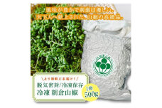 朝倉山椒　兵庫県養父市産　冷凍　500g【1409907】