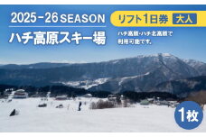 ハチ高原スキー場＜全日＞リフト1日利用券　大人1名・1枚(ハチ北高原でもご利用可能!)【1445589】