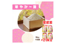 2025年9月以降発送＜蛇紋岩ブランド　華やか一膳20kg＞【1451000】