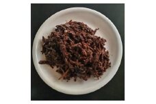 さんしょうと山ぶきの佃煮【1436166】