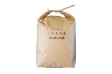 ＜いのちの壱 30kg分 精米/約27kg＞蛇紋岩 特別栽培米 八木川米 命の壱【1424087】
