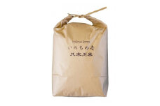 ＜いのちの壱 30kg分 無洗米(精米)/約25.5kg 注意:割れ米多＞特別栽培 八木川米 命の壱【1424088】