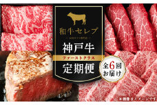 ＜毎月定期便＞和牛セレブの神戸牛定期便「ファーストクラス」全6回【4005281】