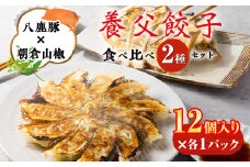 ＜特産品・八鹿豚×朝倉山椒がコラボ＞養父餃子食べ比べセット(冷凍24個)/12個入り1パック×2【1476004】