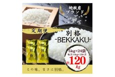 ＜毎月定期便＞＜蛇紋岩ブランド　別格米120kg＞全12回【4050525】