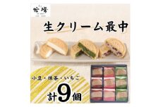 菓心谷常　生クリーム最中(9個)【1501581】
