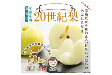 先行予約!守國農園 養父市産 二十世紀梨 5kg(3Lサイズ×14個)【1532421】