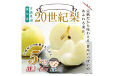 先行予約!守國農園 養父市産 二十世紀梨 5kg(3Lサイズ×14個)【1532421】