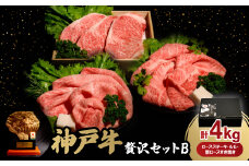 神戸牛贅沢パーティーセットB　ステーキ・すき焼き　合計4.0Kg　牛脂付き【1529492】