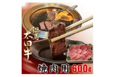 但馬 太田牛 焼肉用 600g OY2【1551655】
