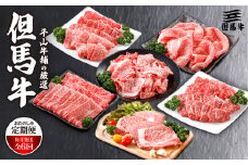 ＜毎月定期便＞平山牛舗の厳選「但馬牛」おたのしみ全6回【4056784】