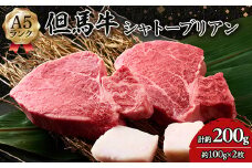 但馬牛 A5 シャトーブリアン 2枚【1584974】