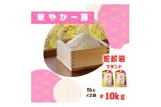 ＜毎月定期便＞蛇紋岩ブランド 華やか一膳 10kg(5kg×2)全3回【4071008】