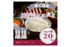 ＜毎月定期便＞蛇紋岩銀粒 彩りの舞 20kg(5kg×4)全12回【4071015】