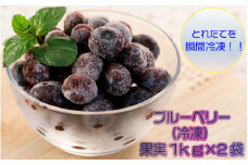 ブルーベリー(冷凍)果実1kg×2袋