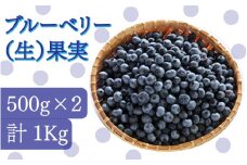 ブルーベリー（生）果実