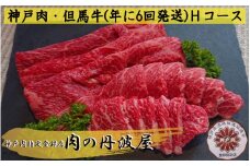 神戸ビーフ（年に6回発送）Ｈコース