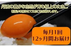 【12ヶ月定期便】「村上さん家のせせらぎ卵」　45個＋5個破卵補償　(計50個）