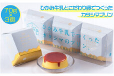 ひかみ牛乳とこだわり卵でつくった　カタシマプリン