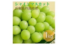 丹波産　完熟シャインマスカット　1000g