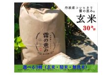 丹波産コシヒカリ 霧の恵み®　玄米30kg